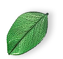 floating_leaf_01 https://qleen.bold-themes.com/demo-01/wp-content/uploads/sites/2/2025/07/floating_leaf_01.png